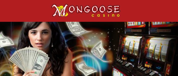 Mongoose Casino App Intro