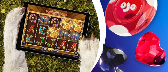PlayOJO Casino App Games