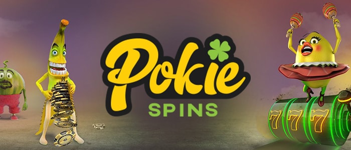 Pokie Spins Casino App Intro