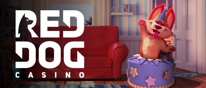Red Dog Casino App Bonus
