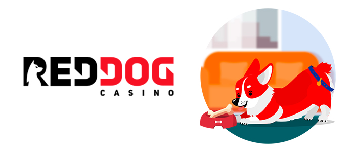 Red Dog Casino App Safety