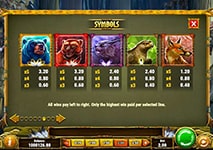 Coywolf Cash Slot Features